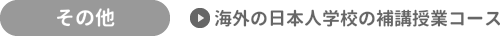 その他海外の日本人学校の補講授業コース